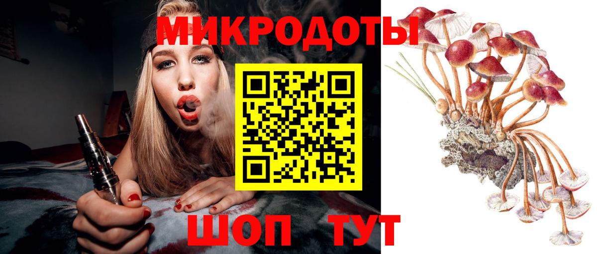 Псилоцибиновые грибы Psilocybine cubensis Сибай